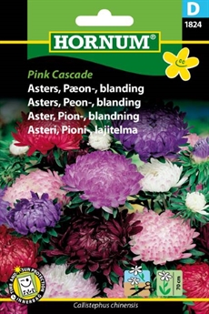 Asters Bland. - Pink Cascade