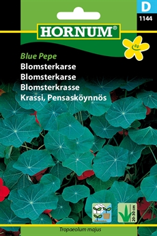 Blomsterkarse - Blue Pepe