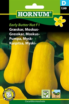 Græskar, Moskus - Butter nut
