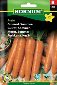 Gulerod - Rotin