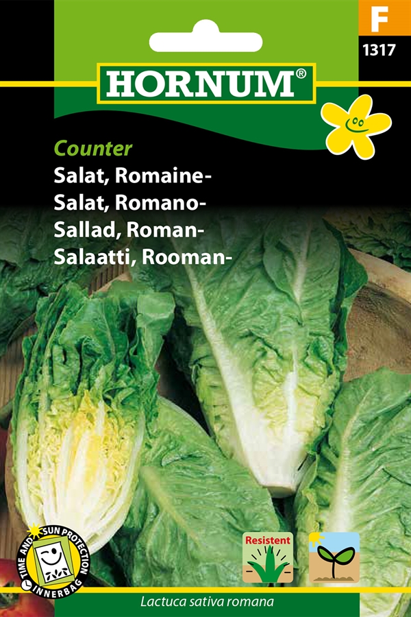 Salat - Romaine-