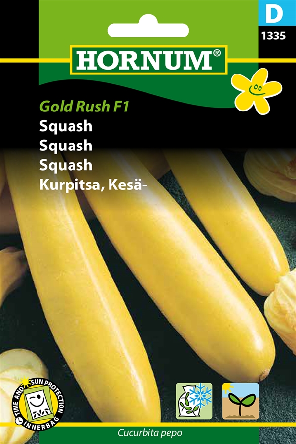 Squash - Gold Rush