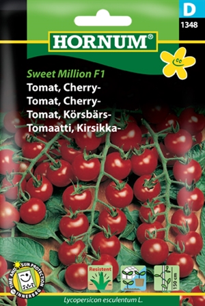 Tomat - Cherry