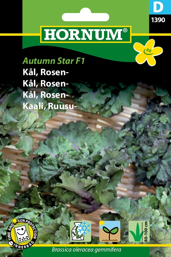 Rosenkål - Autumn Star