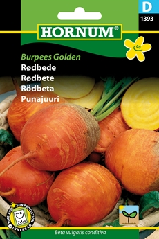 Rødbede - Burpees Golden