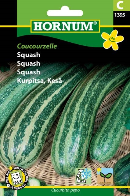 Squash - Coucourzelle