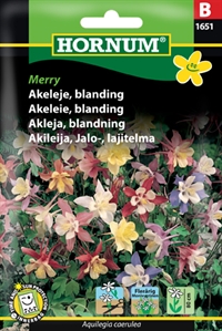 Akeleje Blanding - Merry