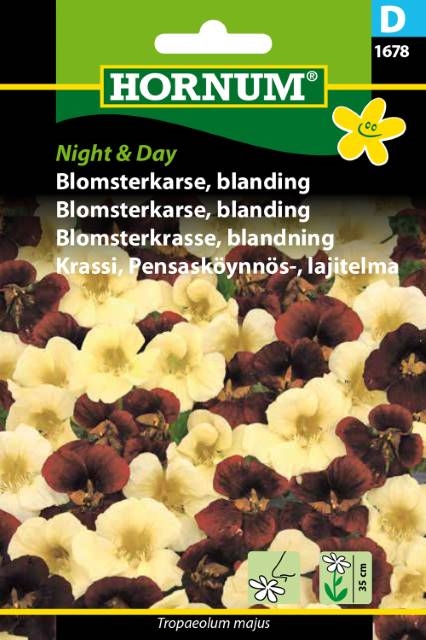 Blomsterkarse - Night & Day