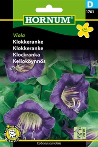 Klokkeranke - Viola