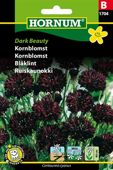 Kornblomst - Dark Beauty