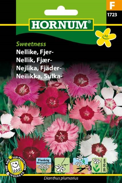 Nellike, fjer - Sweetness