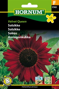Solsikke - Velvet Queen