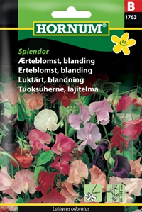 Ærteblomst - Blanding