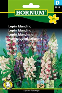 Lupin - Blanding 1