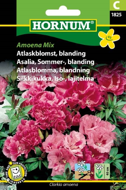 Atlaskblomst - Blanding
