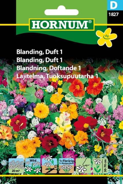 Blanding - Duft 1