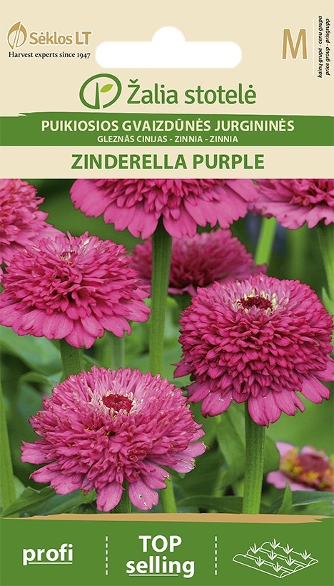 Frøkenhat - Zinderella Purple