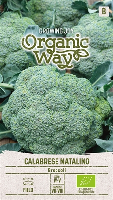 Broccoli - Økologisk