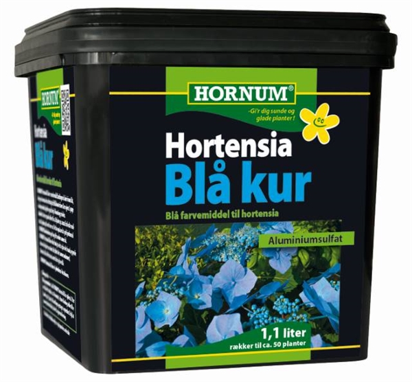 Hortensia - Blå Kur