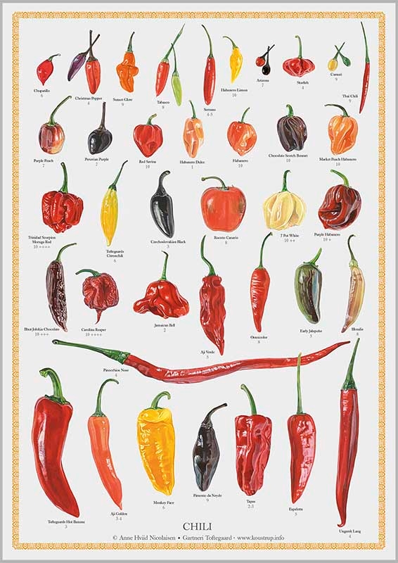 Chili Plakat med 38 sorter