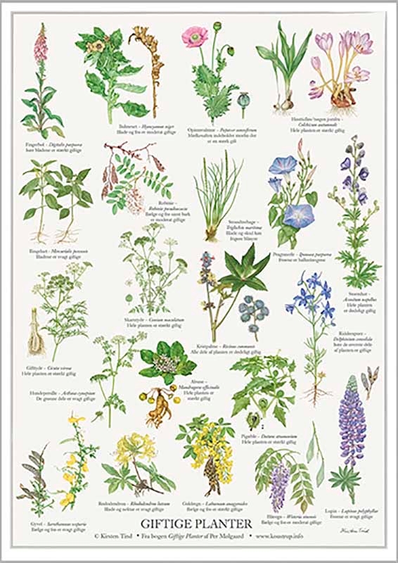 Giftige Planter Plakat