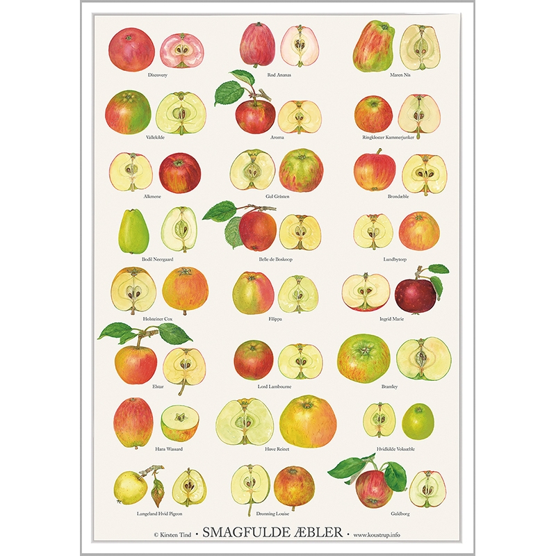 forklædning Ugle tema Smagfulde Æbler Plakat