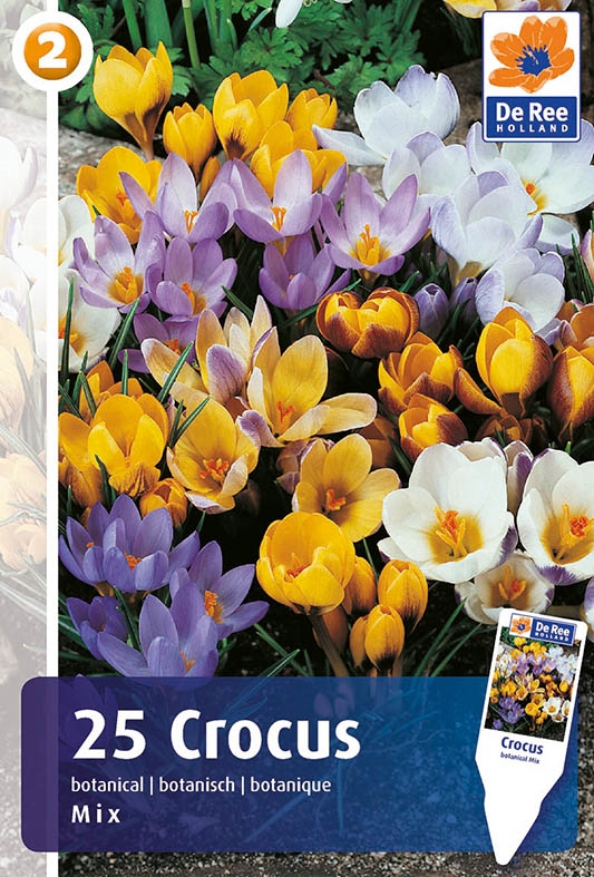 Crocus Botanisk Mix