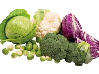 Kål og broccoli