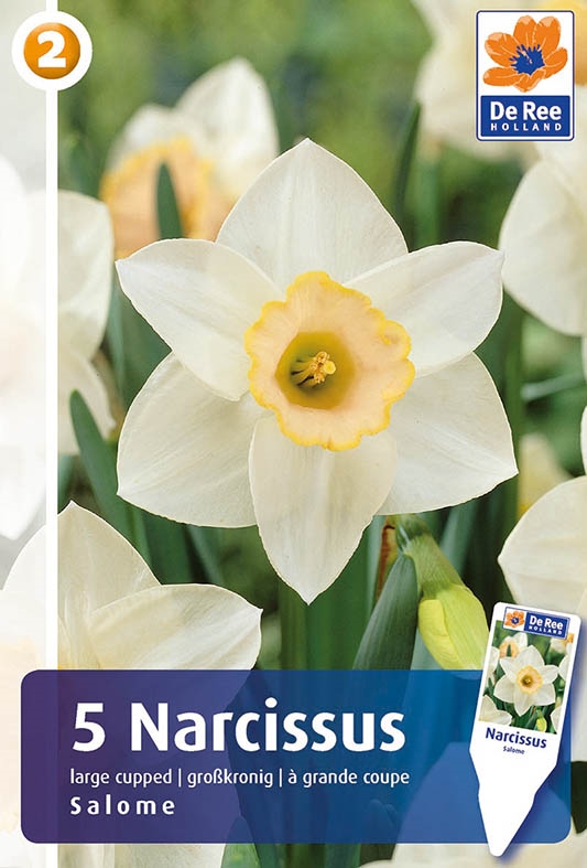 Narcis Salome